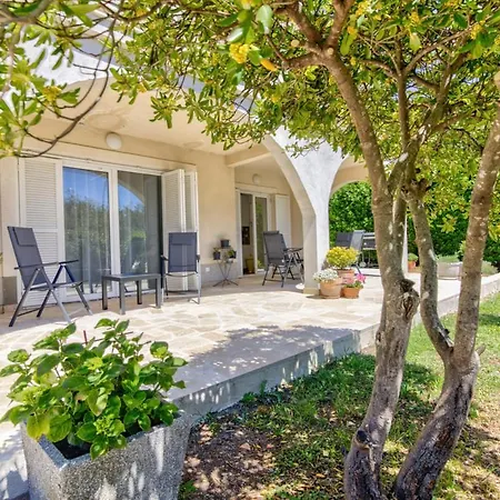 Nv Sun 23 By Aneo Travel